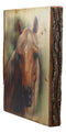 Ebros Rustic Stallion Horse Bust Print Canvas On Wooden Frame 16" H by 12.5"W