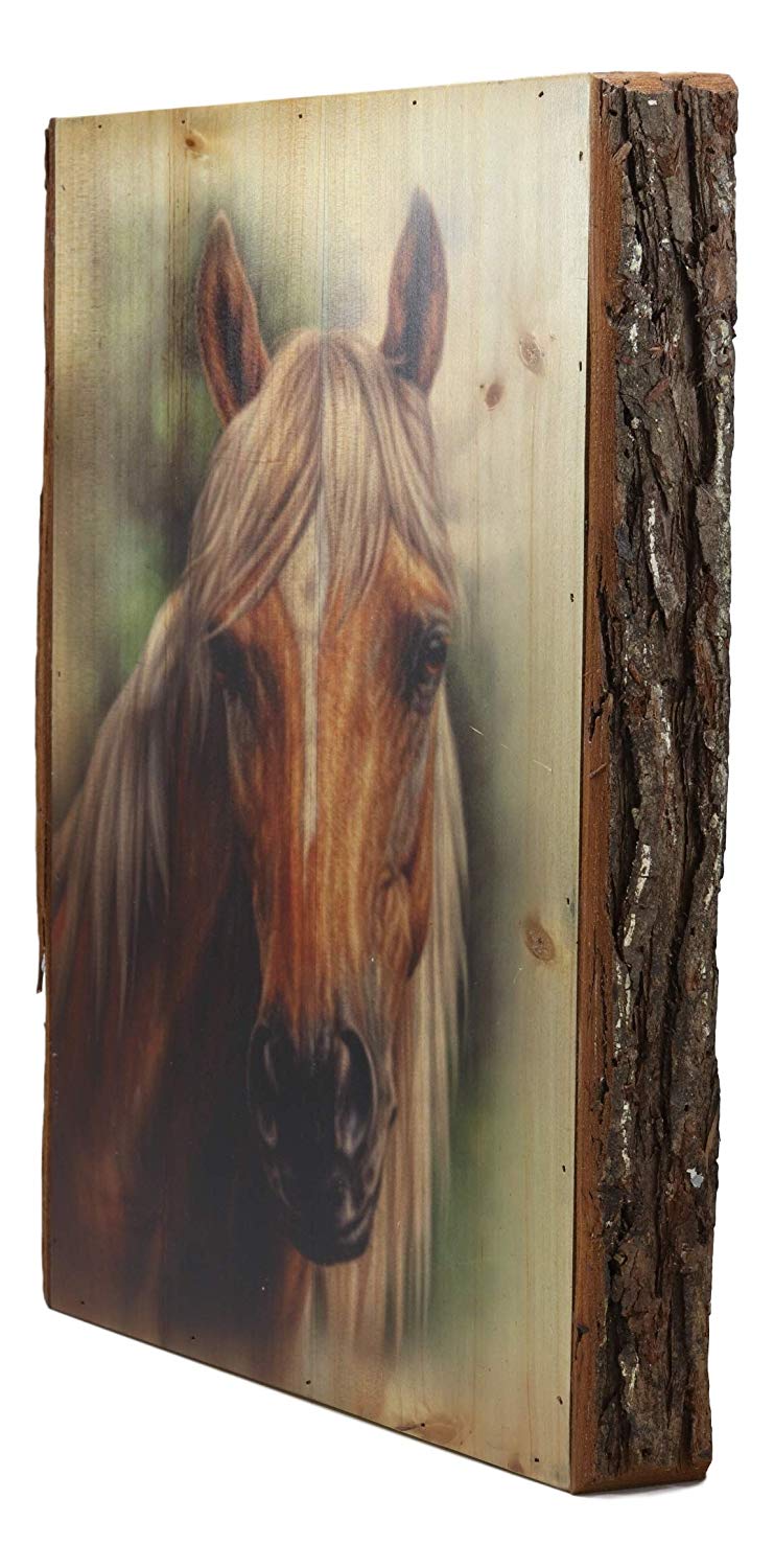 Ebros Rustic Stallion Horse Bust Print Canvas On Wooden Frame 16" H by 12.5"W