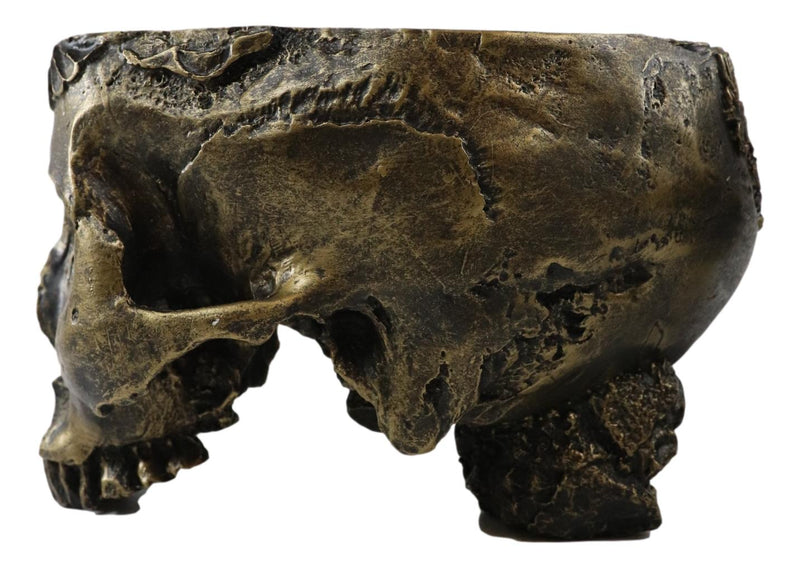 Ebros Day Of The Dead Barocco Floral Scroll Half Skull Planter Decor Bowl Figurine