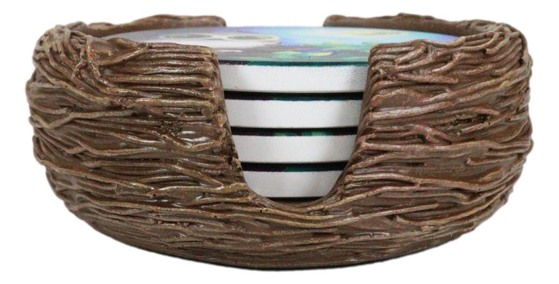 Wide Eyed Owl Perching On Tree Branch by Full Moon Starry Night Coaster Set