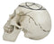 Gothic Sacred Geometry Seed Of Life Earth Creation Cosmic Energy Skull Figurine