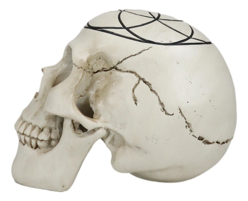 Gothic Sacred Geometry Seed Of Life Earth Creation Cosmic Energy Skull Figurine
