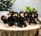 Ebros Whimsical Monkey See Monkey Do Set of 6 Chimpanzee Multi Pose Figurines