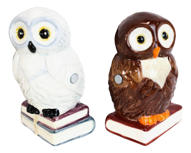 Ebros Snow & Brown Owl Bibliography Of Wisdom Ceramic Salt Pepper Shaker Set