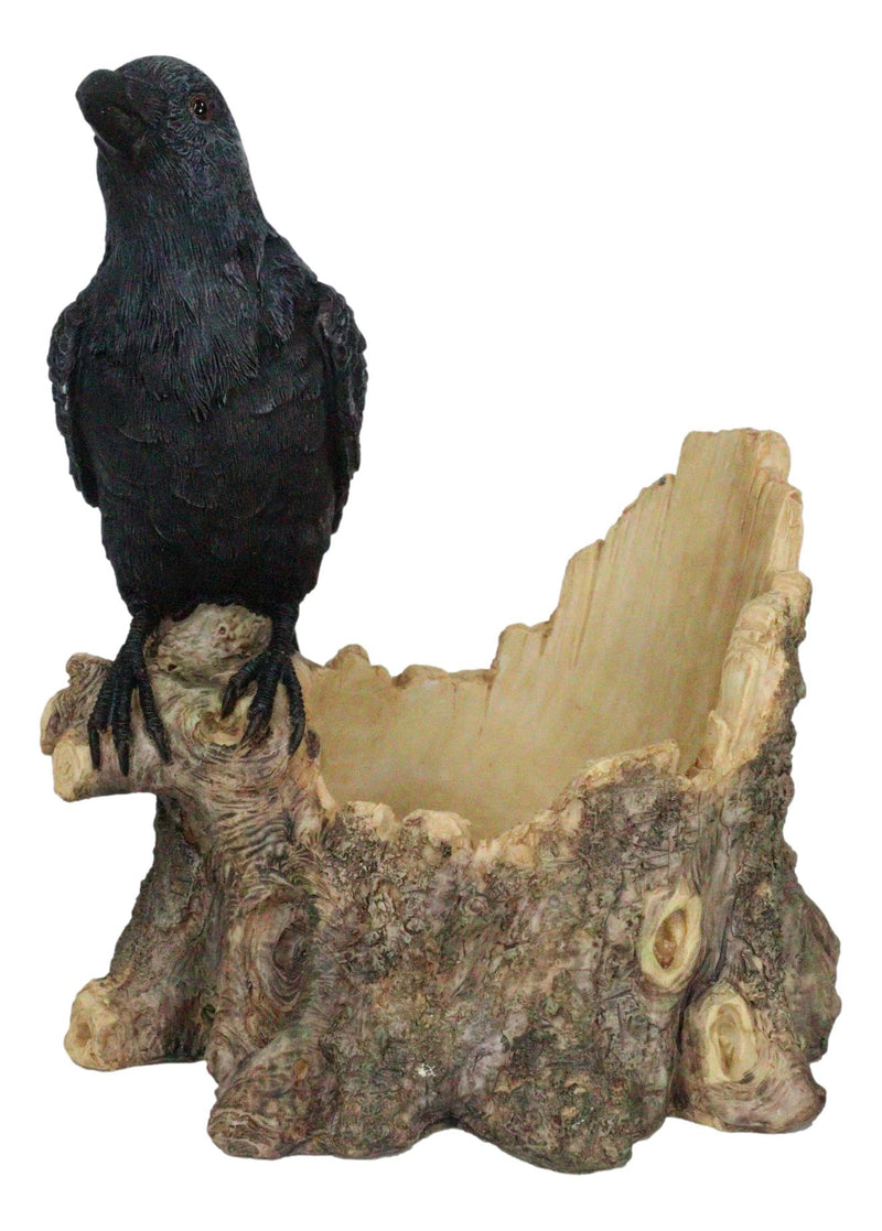 Macabre Potion Raven Crow Nevermore Perching On Tree Stump Wine Bottle Holder