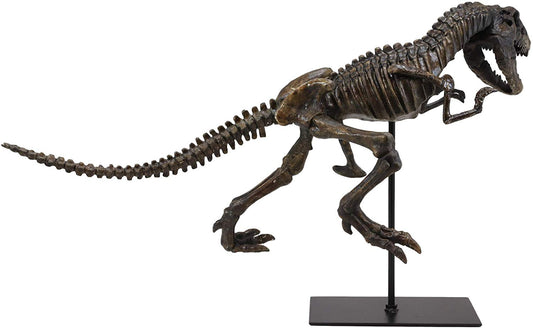 Ebros  Jurassic Dinosaur Tyrannosaurus Rex Fossil Skeleton Statue On Museum Mount 24"L - Ebros Gift