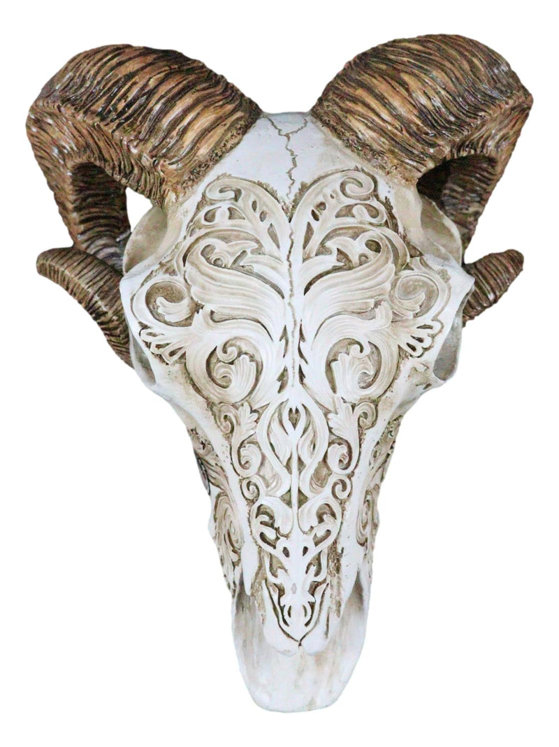 Gothic Macabre Ammon Cultic Tribal Tooled Tattoo Scrimshaw Ram Skull Figurine