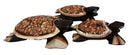 Balinese Wood Handicrafts Sea Turtle Tortoise Family Ashtray Box Figurine Set