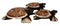 Balinese Wood Handicrafts Sea Turtle Tortoise Family Ashtray Box Figurine Set