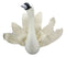 Ebros Fiona Walker England Handmade Organic Baby Winged Swan Head Wall Decor