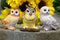 Owls of The World Colorful Nocturnal Birds In Multiple Poses Mini Figurine Set