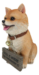 Adorable Pet Pal Pomeranian Puppy Dog With Jingle Collar And Plank Sign Statue