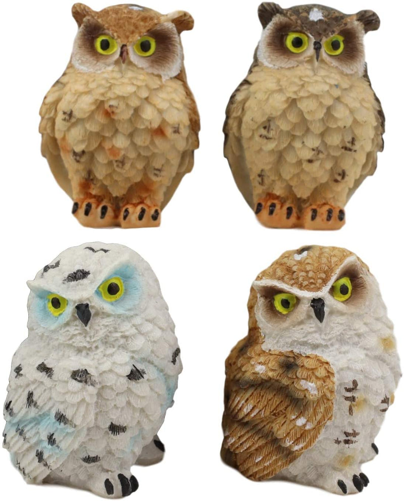 Ebros Peeking Colorful Nocturnal Fat Owls Miniature Figurine Set of 4 Whimsical