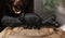 Cast Iron Rustic Western Black Bear Drawer Cabinet Door Pulls Hardware 12 Pack
