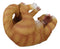 Tipsy Thirsty Feline Drinking Orange Tabby Kitty Cat Wine Bottle Holder Figurine