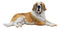 Ebros Saint Bernard Dog Statue 10.5"L Dogs Breed Gallery Quality Glass Eyes