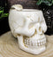 Ebros Ossuary Ghastly Death Skull Drinking Coffee Mug 12oz Tankard Beer Cup