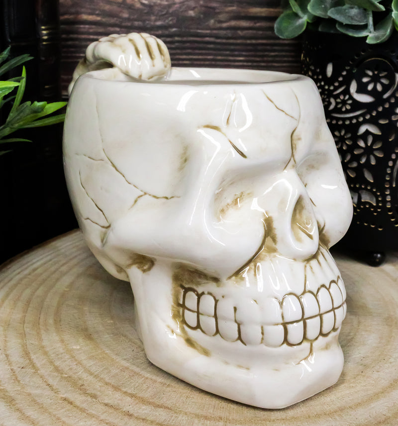 Ebros Ossuary Ghastly Death Skull Drinking Coffee Mug 12oz Tankard Beer Cup