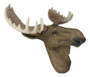 North American Granddaddy Bull Moose with Antlers Trophy Head Wall Decor 15"L