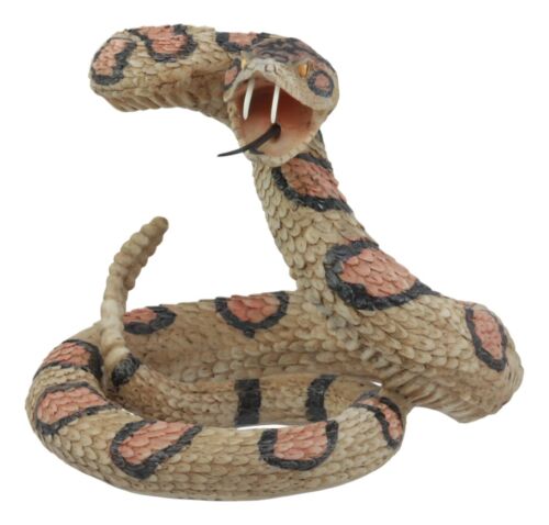 Lifelike Diamondback Rattlesnake Statue 6"H Realistic Snake Taxidermy Figurine