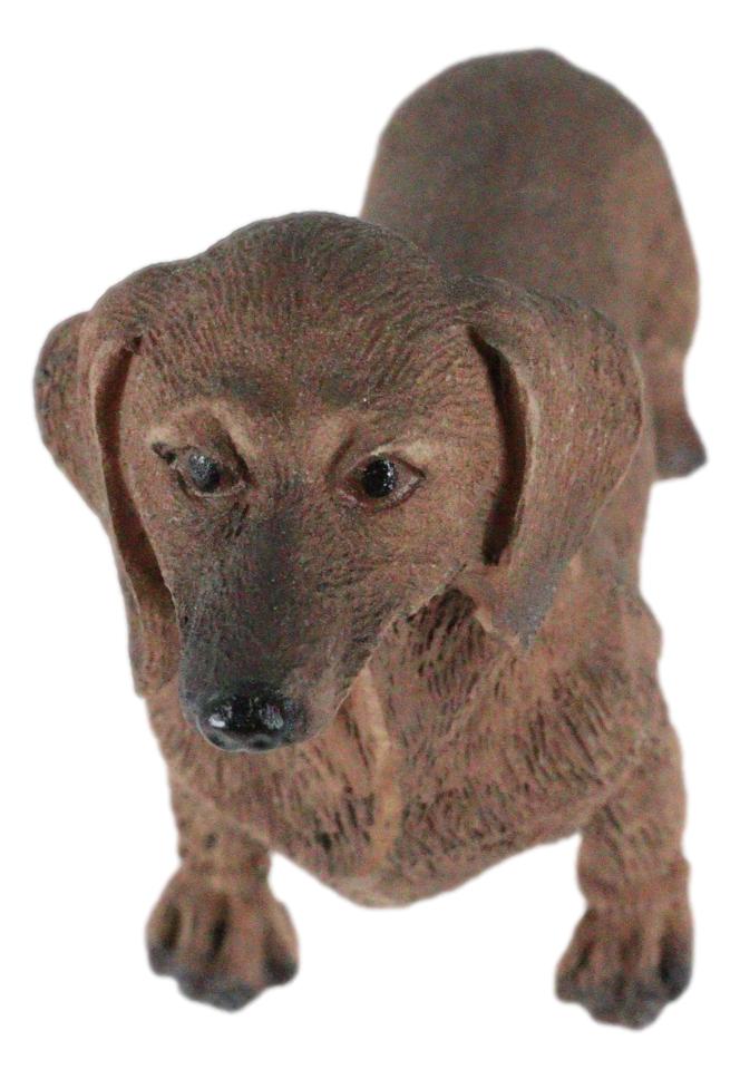 Adorable Lifelike Pet Pal Chocolate Dachshund Sausage Dog Miniature Figurine - Ebros Gift
