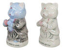 Master Meow Buddha Cats Meditating Love And Kitty Ceramic Salt Pepper Shakers Set