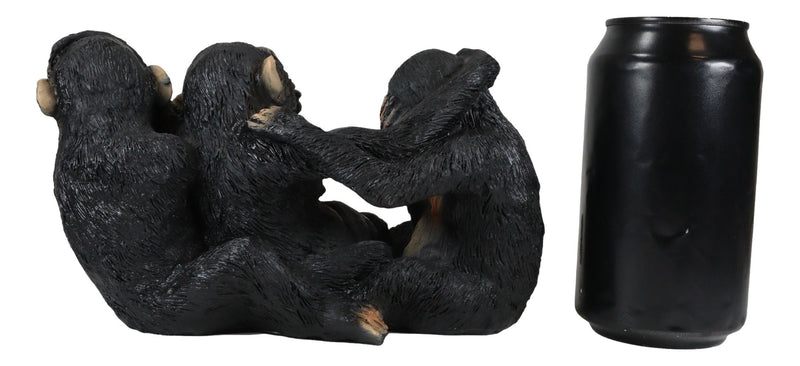 Ebros Whimsical See Hear Speak No Evil Monkeys Of The Jungle Figurine Set of 3