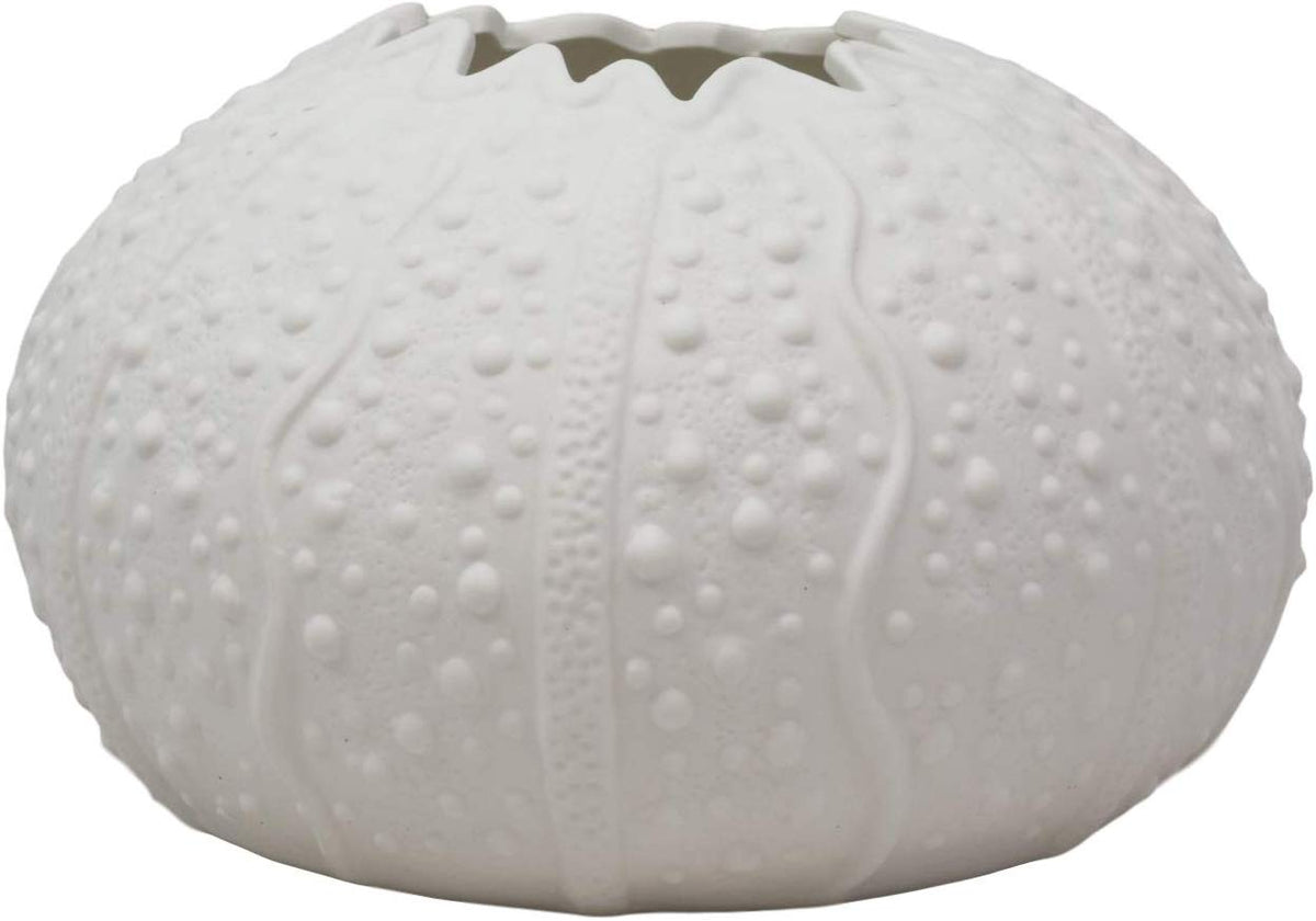 Ebros 7.5" Diameter White Sea Urchin Shell Ceramic Sculpture Pot Figurine (1)
