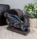 Ebros Voyage Of The Rune Celtic Dragon Coaster Set Figurine W/ 5 Round Coasters