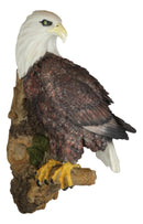 Large Mountain Grand Bald Eagle Perching On Tree Branch Wall Decor Plaque 17.5"H