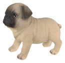 Ebros Realistic Adorable Fawn Pug Puppy Dog Figurine 5"L Pet Pal Pugsy