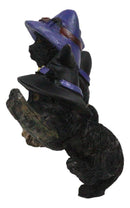 Halloween 5 Black Kitten Cats With Witch Hat Riding Magical Broomstick Figurine