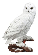 Mystical White Snow Owl Bird Statue 12.25"Tall Nocturnal Bird Wildlife Owl Decor