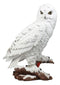 Mystical White Snow Owl Bird Statue 12.25"Tall Nocturnal Bird Wildlife Owl Decor