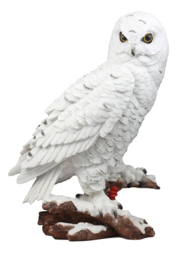 Mystical White Snow Owl Bird Statue 12.25"Tall Nocturnal Bird Wildlife Owl Decor