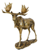 Realistic Large Bull Moose Statue In Gold Patina 11" W Rustic Elk Deer Accent