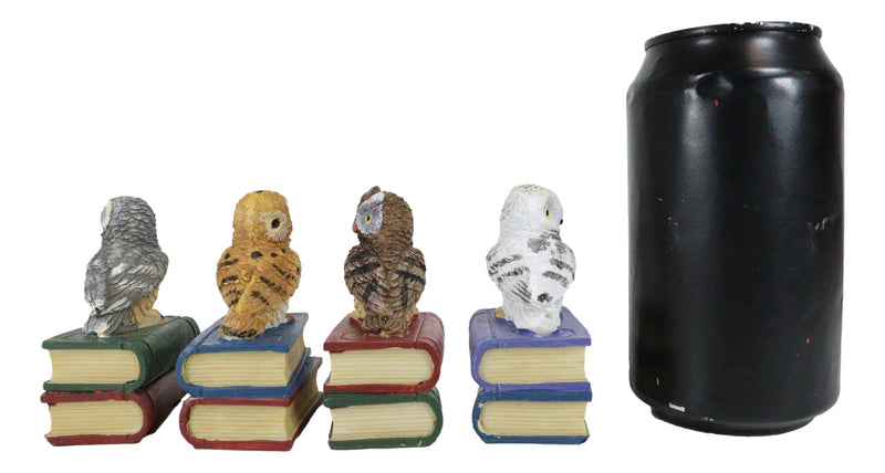 Wisdom Of The Forest Bibliography Owls Sitting On Books Figurine Owl Set Decors