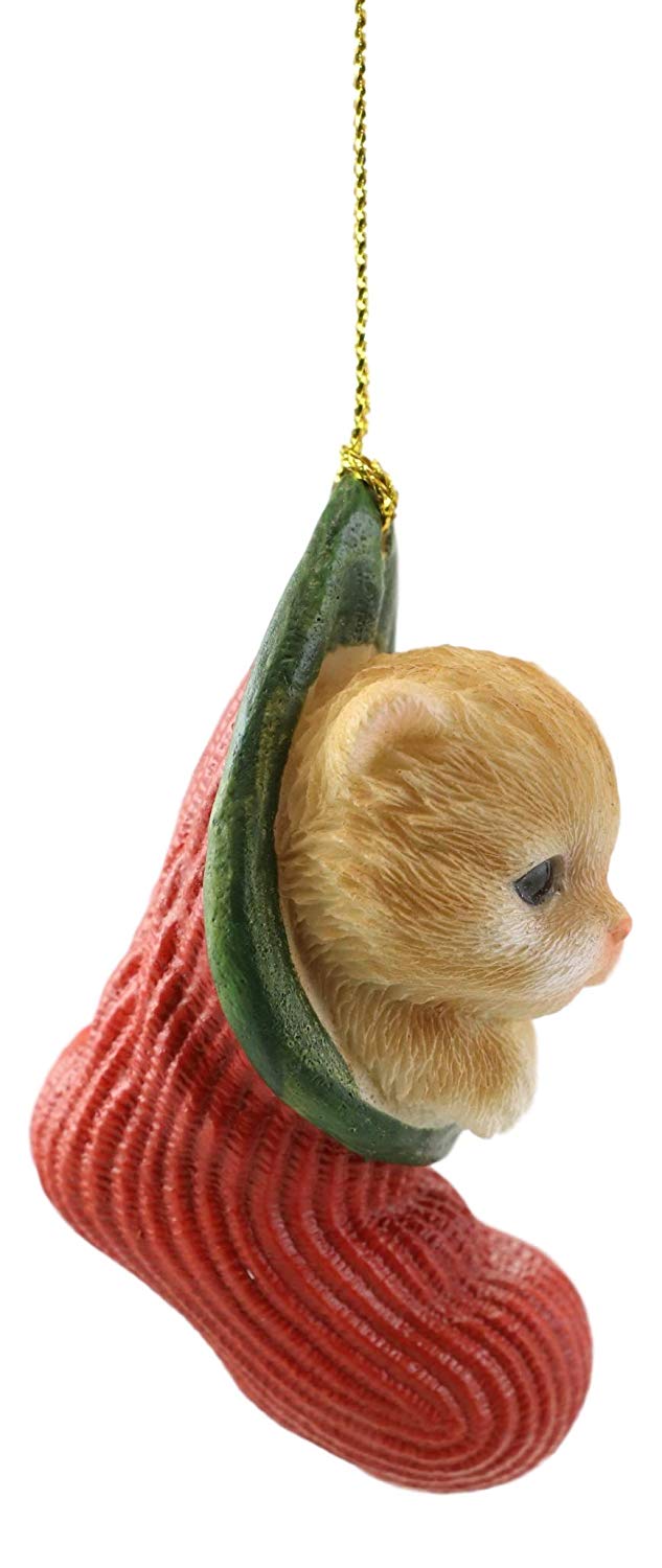 Orange Tabby Cat Kitten in The Sock Small Hanging Ornament Figurine & Glass Eyes
