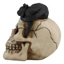 Ebros Witching Hour Black Mystical Cat Perching On Skull Macabre Figurine