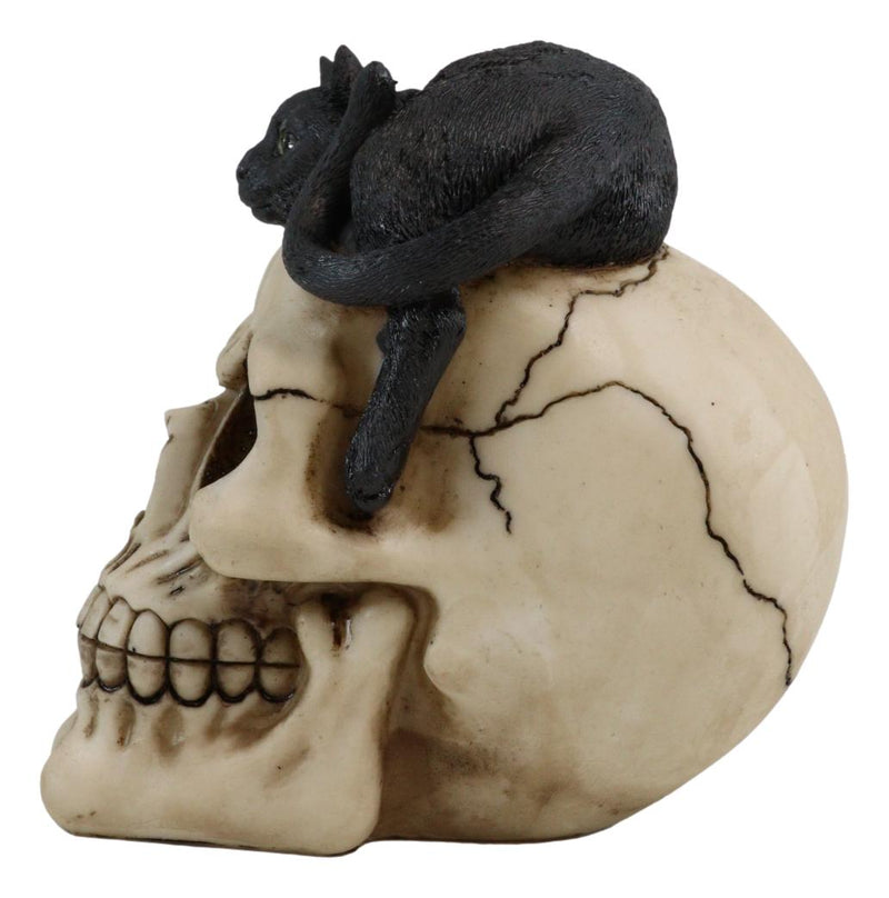 Ebros Witching Hour Black Mystical Cat Perching On Skull Macabre Figurine