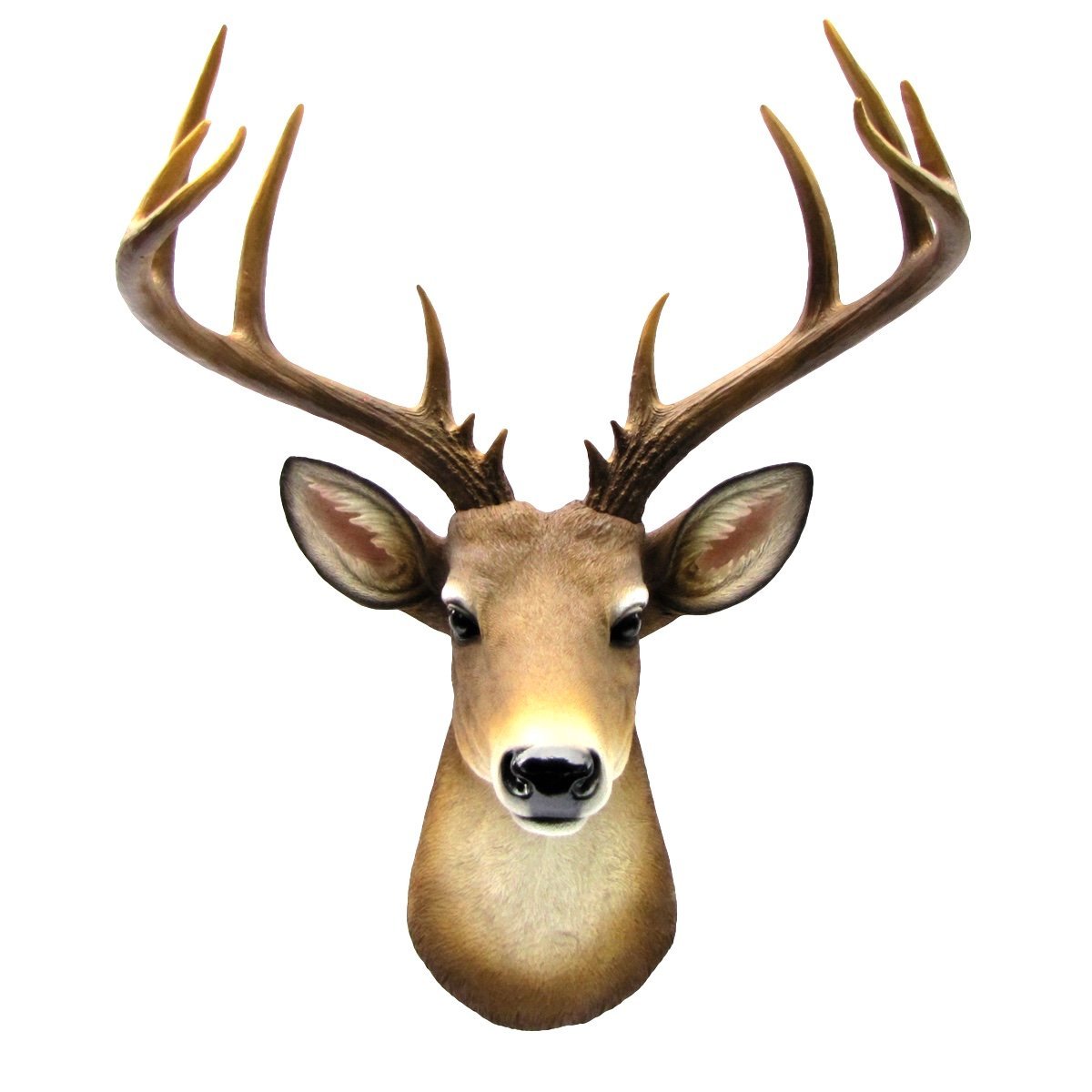 12 Point Buck Trophy Taxidermy Wall Decor Deer Head W/ Antlers Sculpture Plaque
