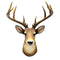 12 Point Buck Trophy Taxidermy Wall Decor Deer Head W/ Antlers Sculpture Plaque