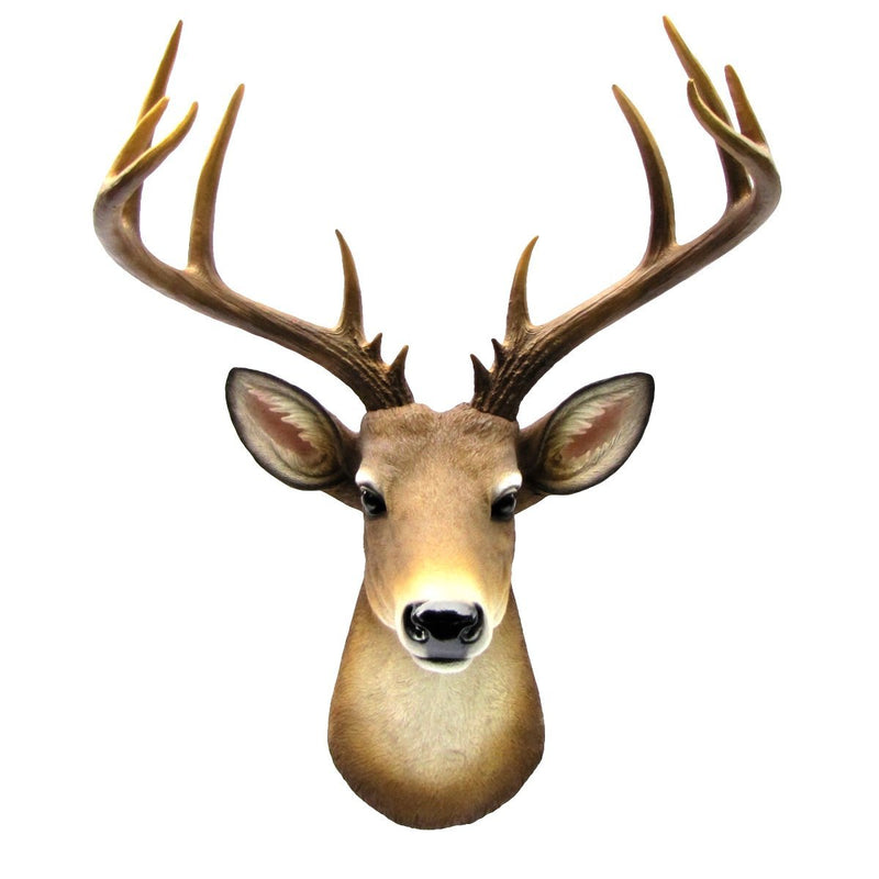 12 Point Buck Trophy Taxidermy Wall Decor Deer Head W/ Antlers Sculpture Plaque