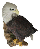 Large Mountain Grand Bald Eagle Perching On Tree Branch Wall Decor Plaque 17.5"H