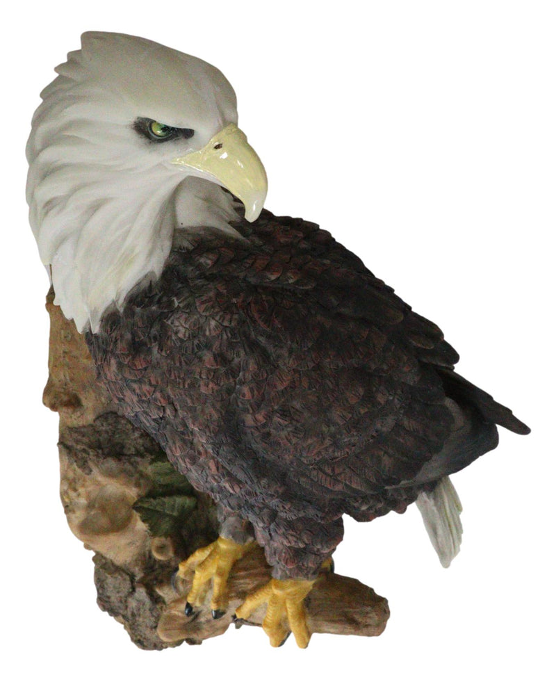 Large Mountain Grand Bald Eagle Perching On Tree Branch Wall Decor Plaque 17.5"H