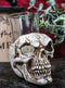 Set Of 4 Gothic Graveyard Macabre Grinning Evil Skull Shot Glass Holder Figurine