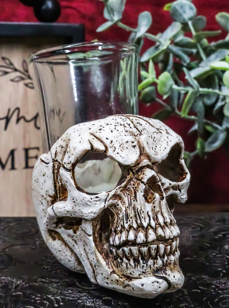 Set Of 4 Gothic Graveyard Macabre Grinning Evil Skull Shot Glass Holder Figurine