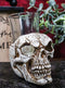 Gothic Ossuary Graveyard Macabre Grinning Evil Skull Shot Glass Holder Figurine
