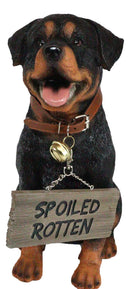 Guest Welcome Realistic Rottweiler Dog With Jingle Collar Sign Decor Statue 13"H