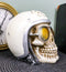 Ebros Aviation Airman Fighter Pilot Helmet Skull With Aviator Sunglasses Shades Statue Ossuary Skeleton Macabre Halloween Graveyard Spooky Skulls Figurine